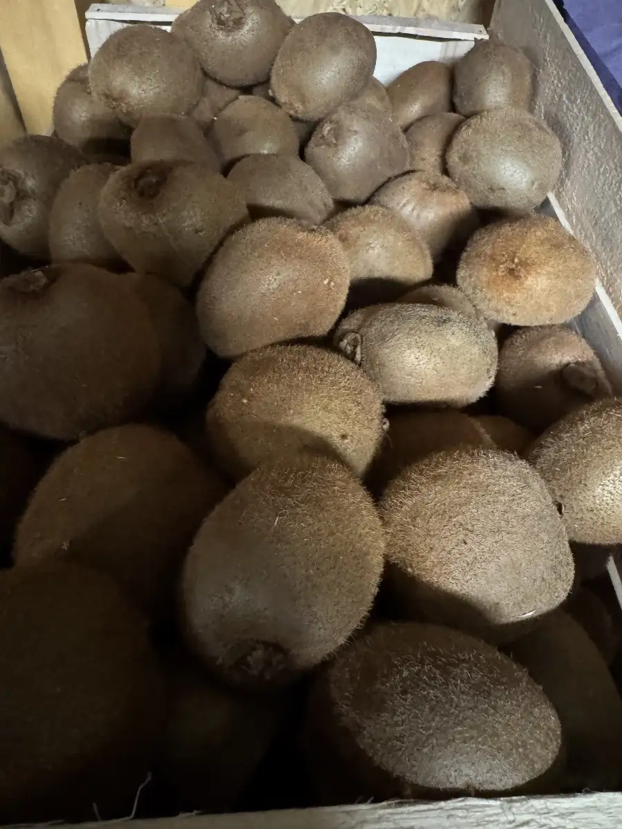 Kiwis