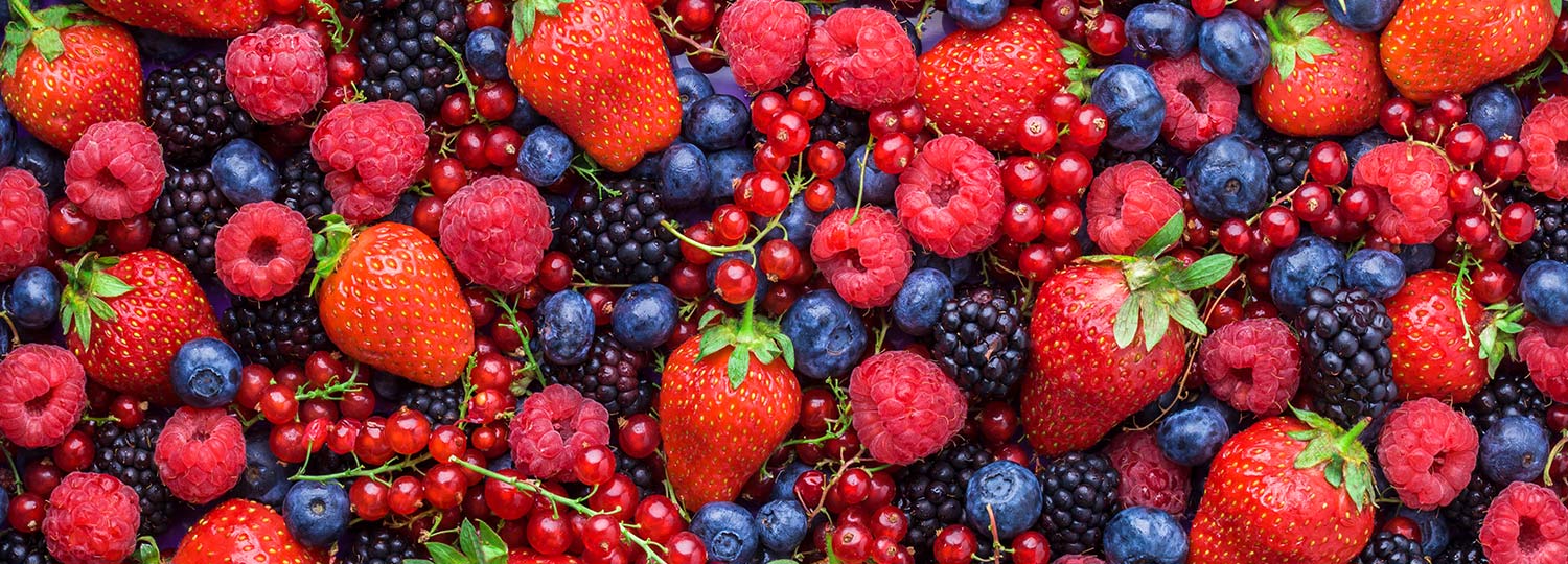 Le Potager de la Ferme Dufresne